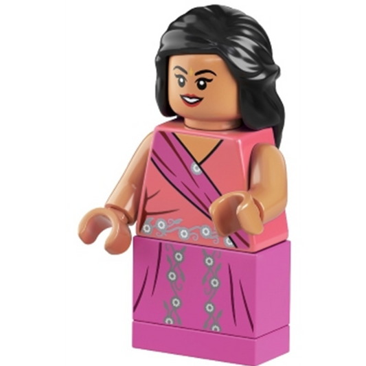 Parvati Patil - hp261